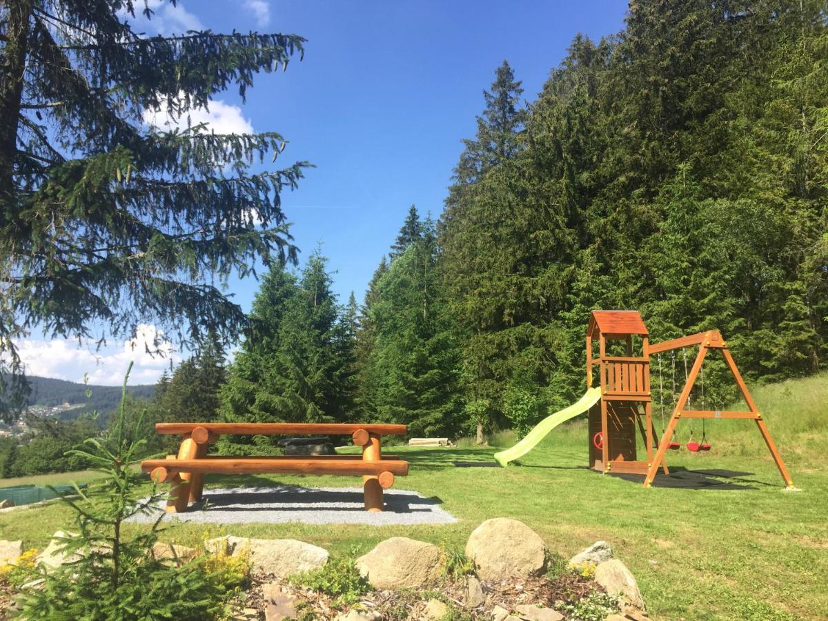 Apartmany Hajovna Lipno Loučovice エクステリア 写真