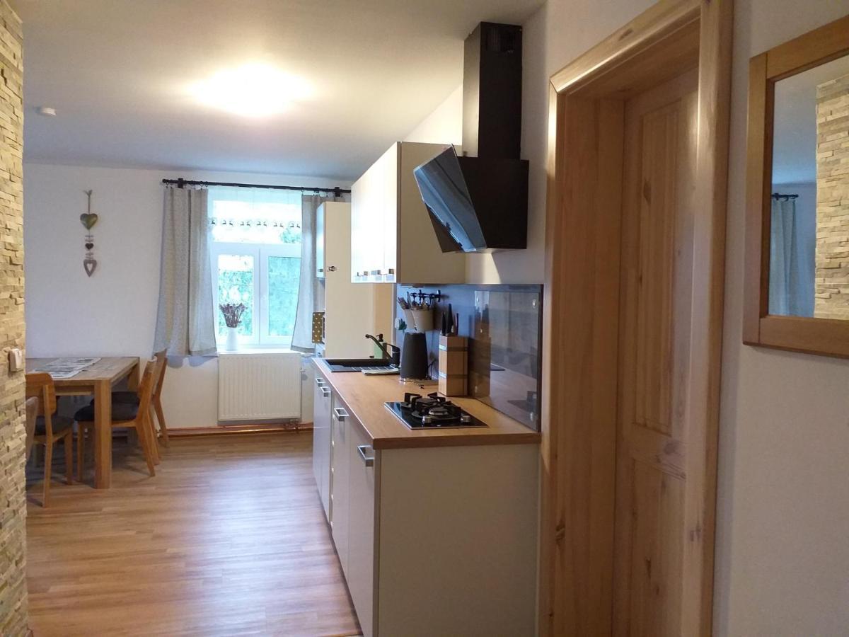 Apartmany Hajovna Lipno Loučovice エクステリア 写真