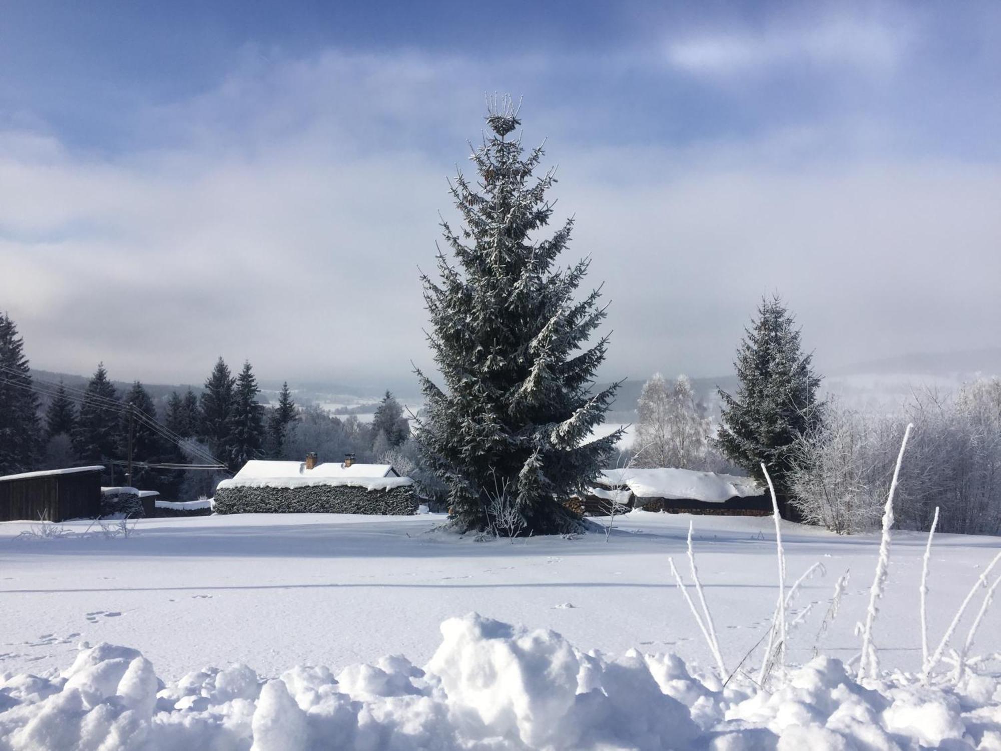 Apartmany Hajovna Lipno Loučovice エクステリア 写真