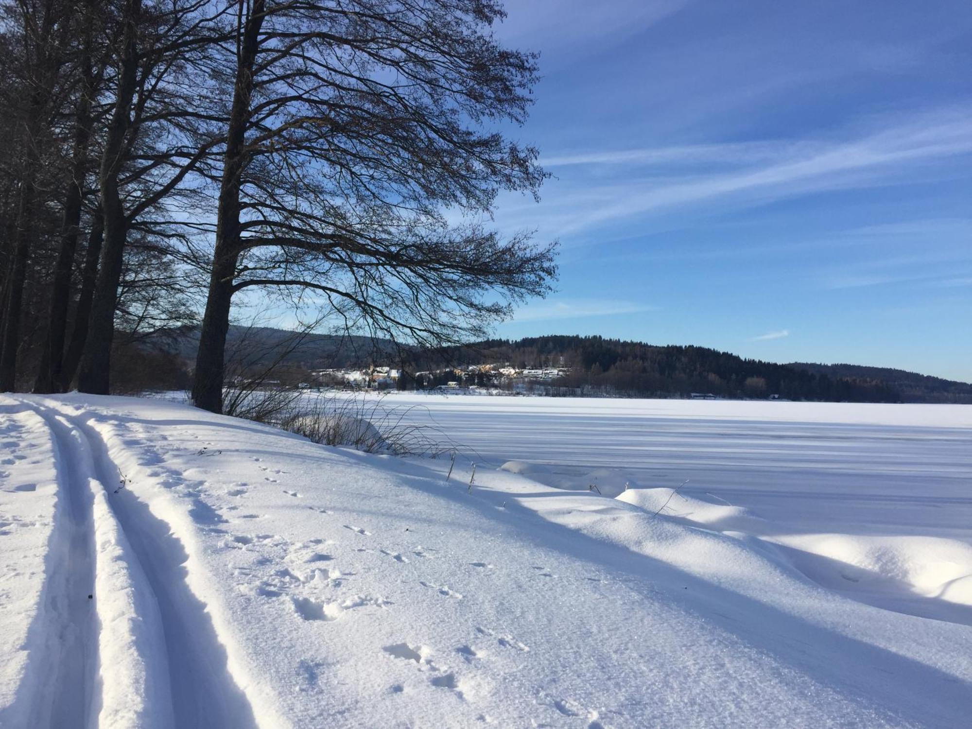 Apartmany Hajovna Lipno Loučovice エクステリア 写真